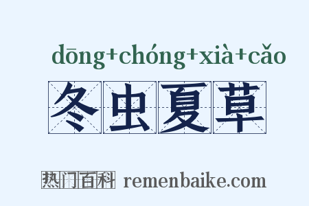 冬虫夏草是什么意思的图片